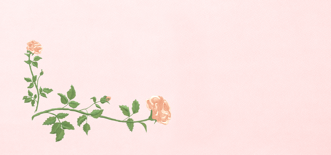 P 501 PE PK Corner Rose Peach Pink Faux